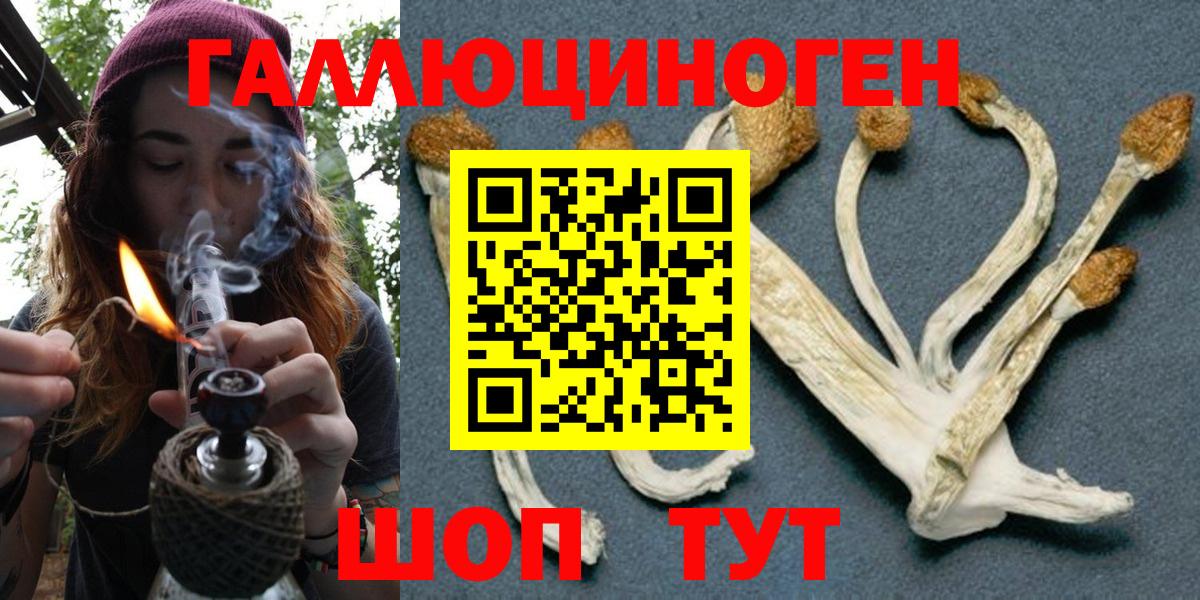 Псилоцибиновые грибы мухоморы  Вход с VPN  купить закладку  Балашов  Псилоцибиновые грибы мицелий 