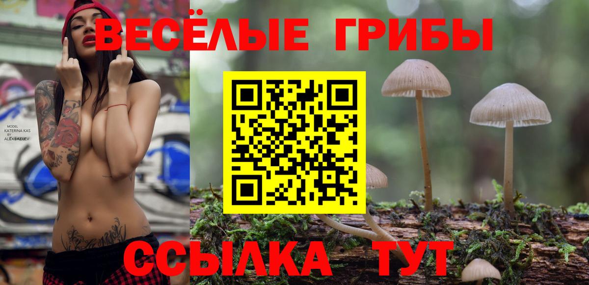 Галлюциногенные грибы Cubensis Балашов